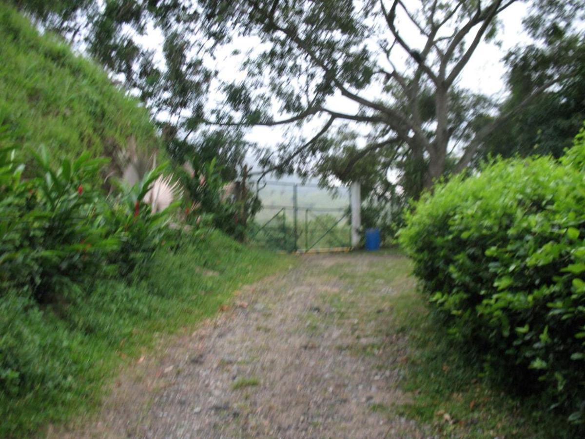 Hostel Finca La Gordita Calabazo  Exteriör bild
